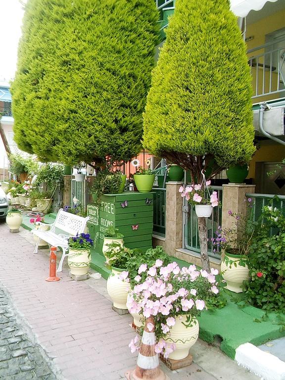 شقة House Stella Tasos سارتي المظهر الخارجي الصورة