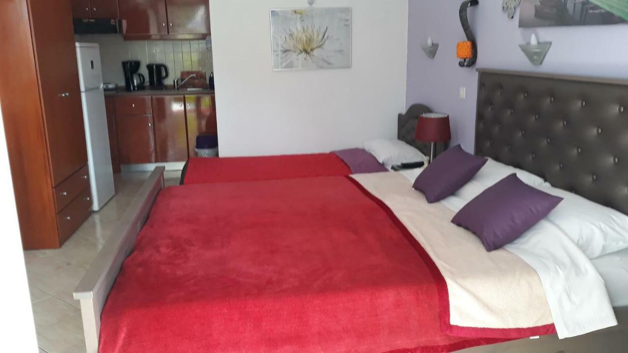 شقة House Stella Tasos سارتي المظهر الخارجي الصورة